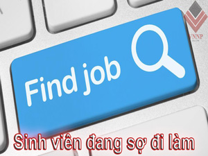 Sinh viên đang lo sợ đi làm sinh-vien-dang-lo-so-di-lam