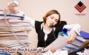 Người thư ký giám đốc cần gì?